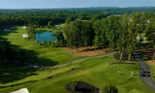 7289 Harlow Dr, College Grove, TN  37046