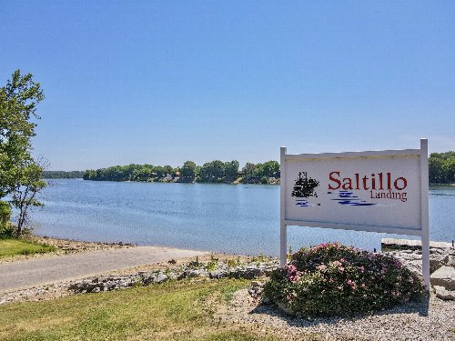 250 Shoreline Ln, Saltillo, TN  38370