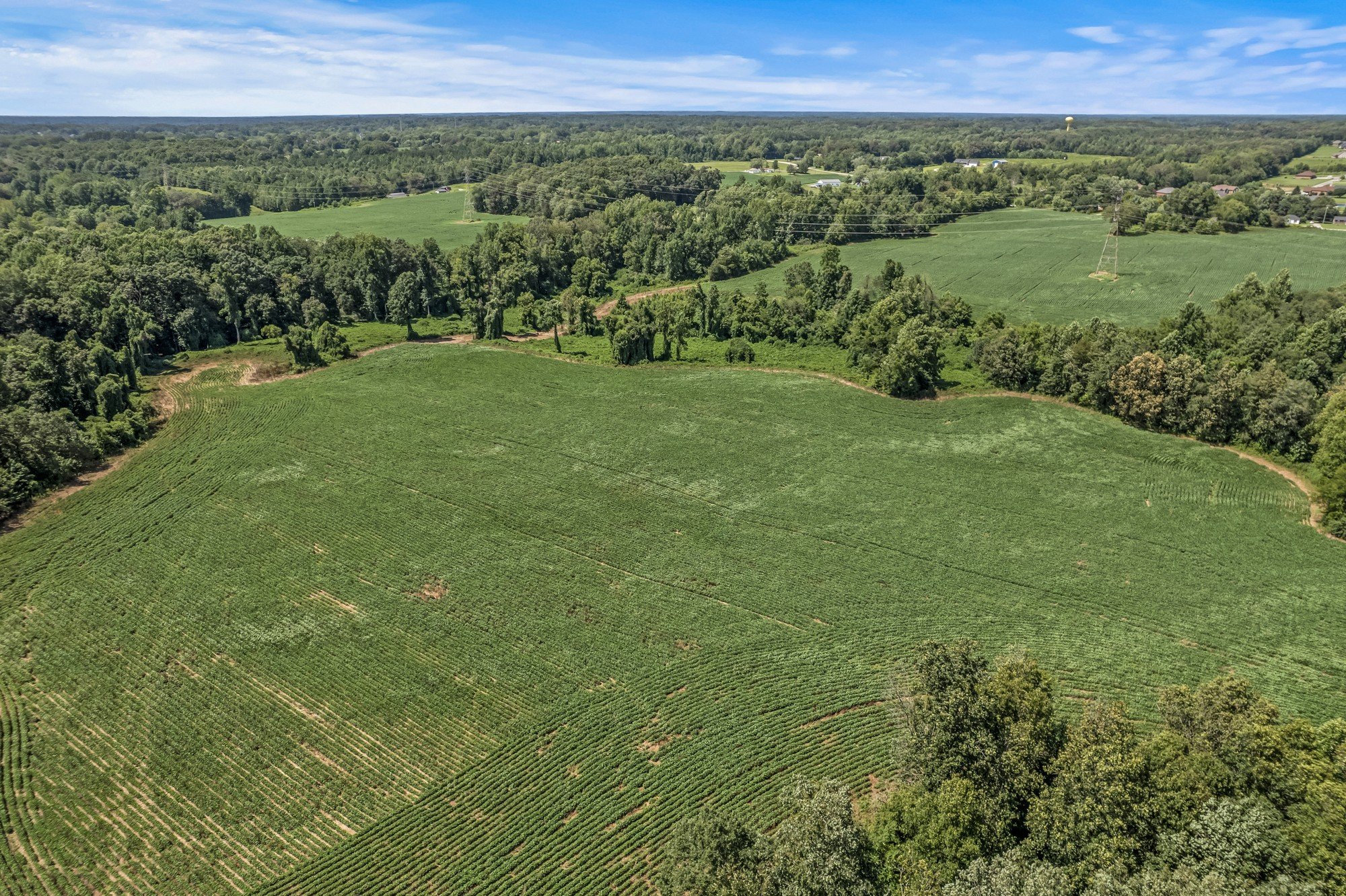 5684 Buffalo Valley Rd, Cookeville, TN  38501