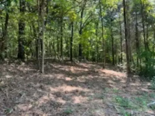 Shelter Branch Road, Charlotte, TN  37036