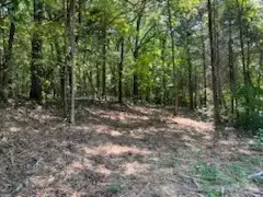 Shelter Branch Road, Charlotte, TN  37036