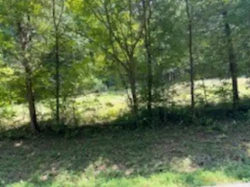 Shelter Branch Road, Charlotte, TN  37036