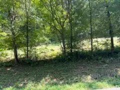 Shelter Branch Road, Charlotte, TN  37036