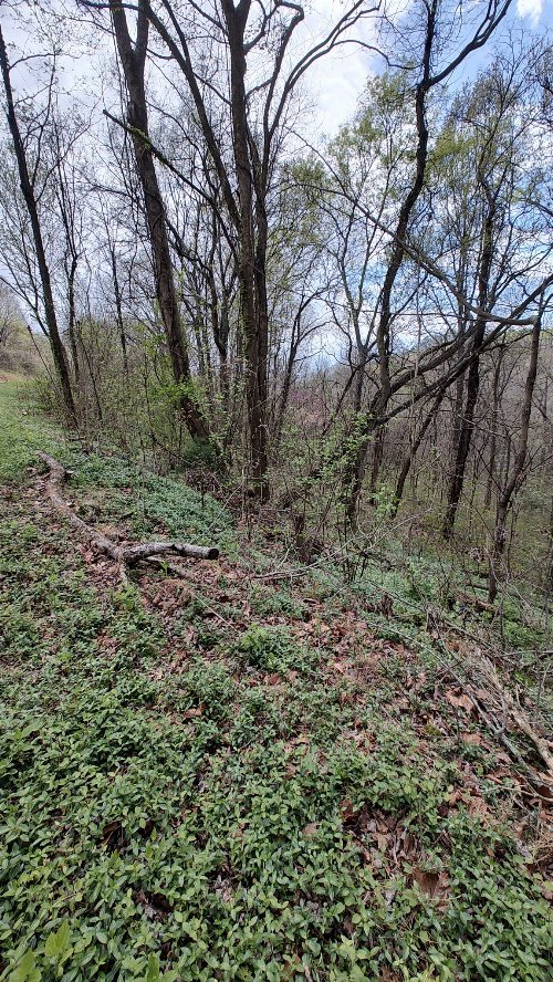 25 Harbor Pointe Lane, Silver Point, TN  38582