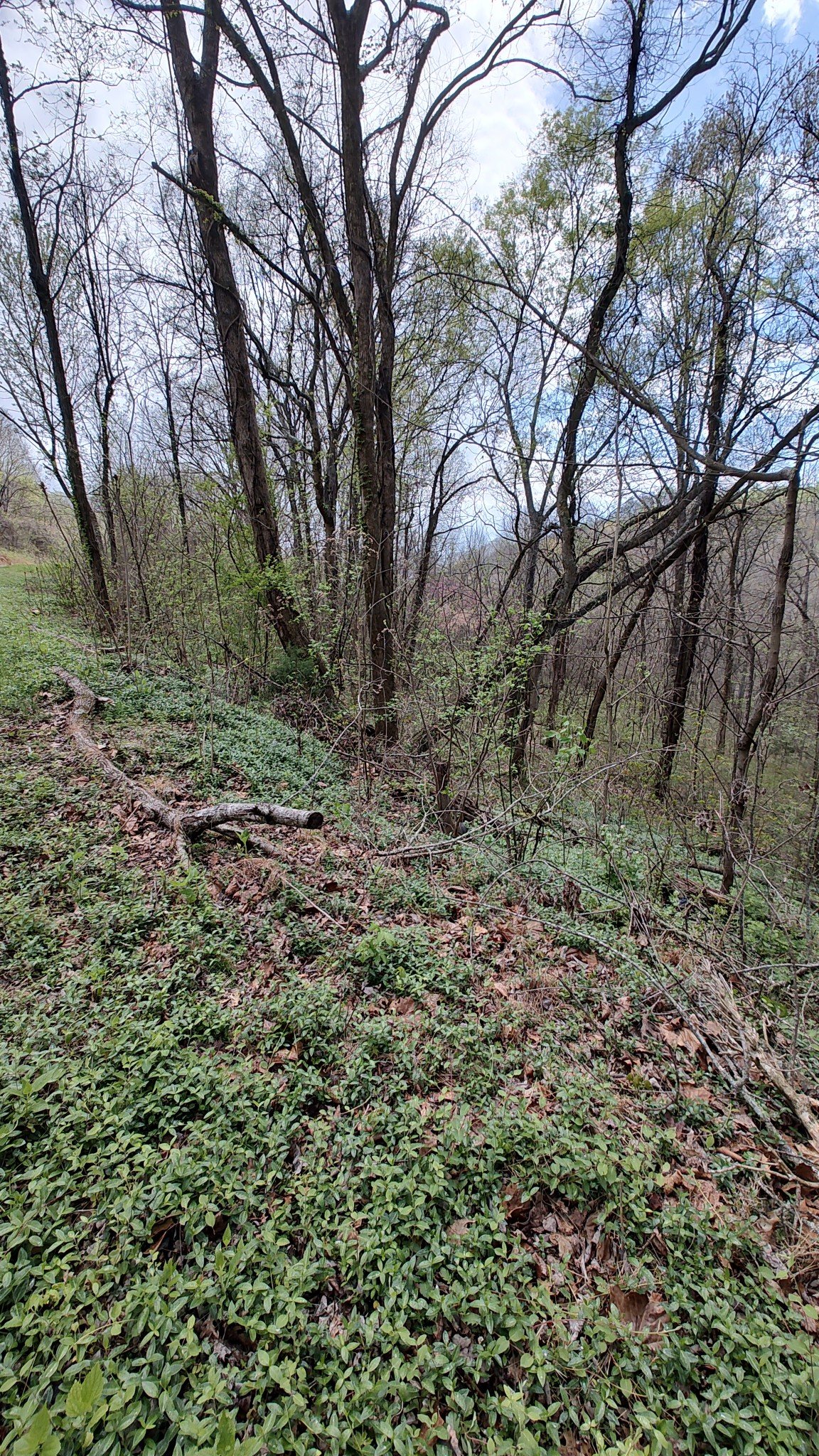 25 Harbor Pointe Lane, Silver Point, TN  38582