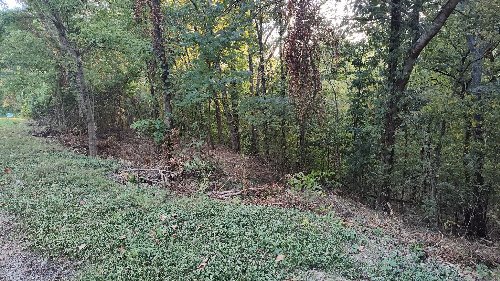 25 Harbor Pointe Lane, Silver Point, TN  38582