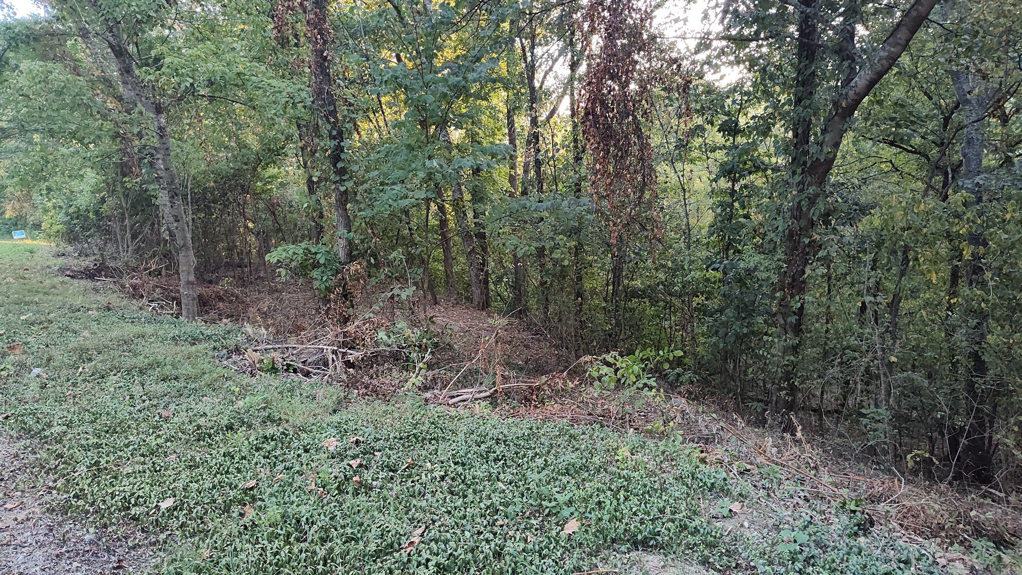 25 Harbor Pointe Lane, Silver Point, TN  38582