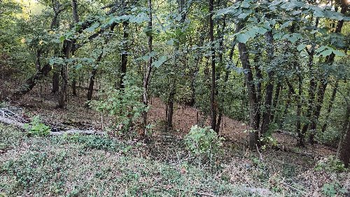 25 Harbor Pointe Lane, Silver Point, TN  38582