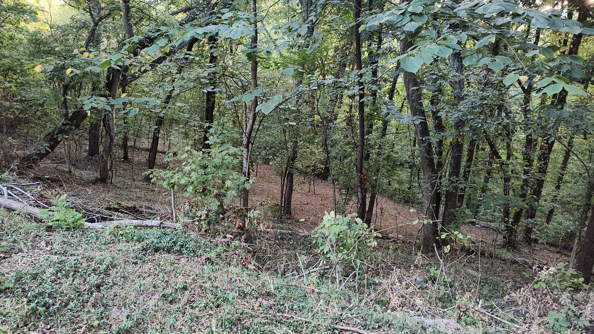 25 Harbor Pointe Lane, Silver Point, TN  38582