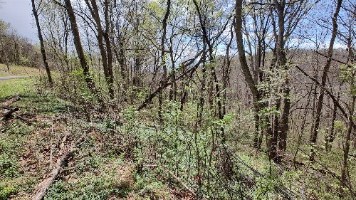 25 Harbor Pointe Lane, Silver Point, TN  38582