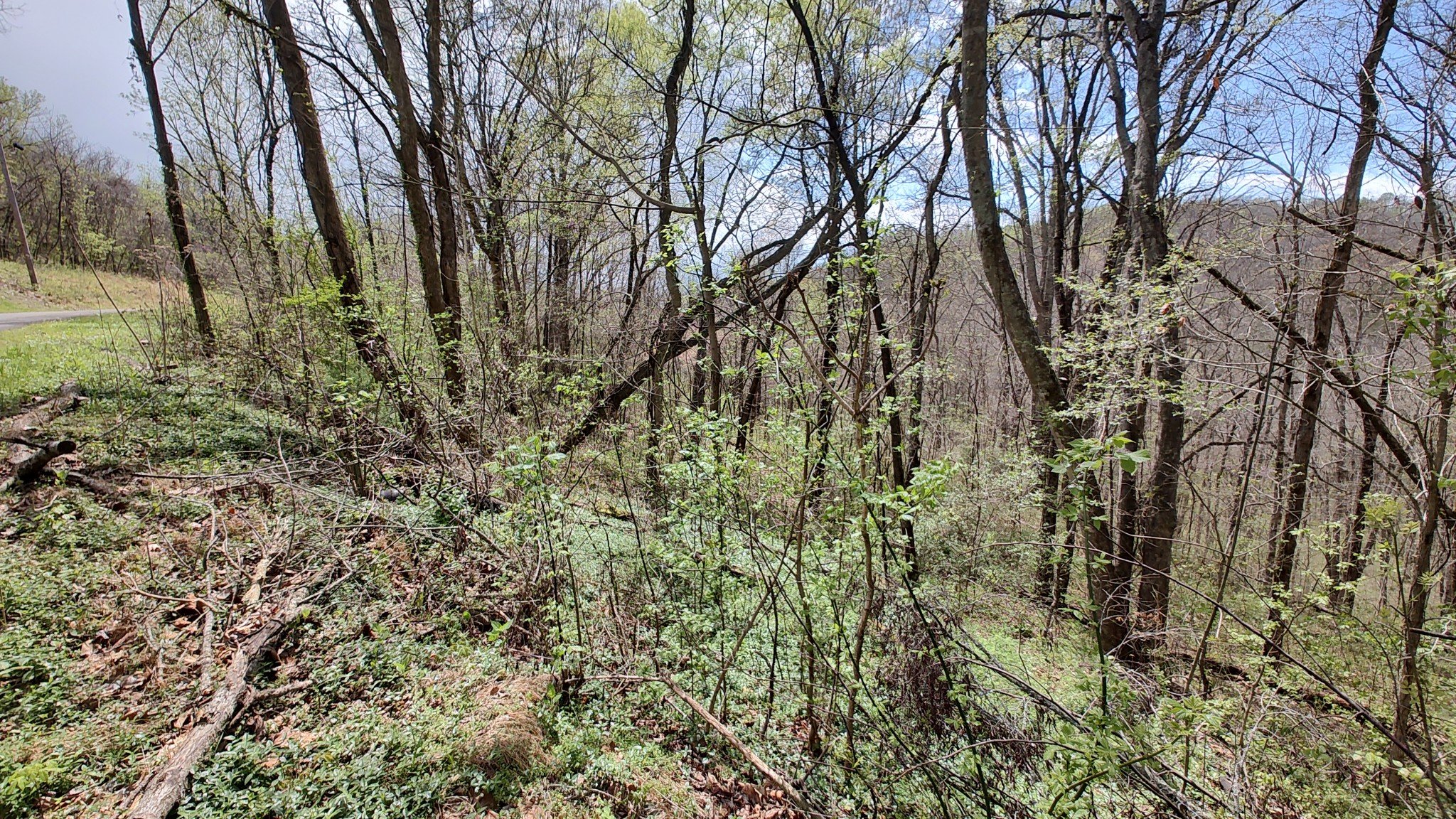 25 Harbor Pointe Lane, Silver Point, TN  38582