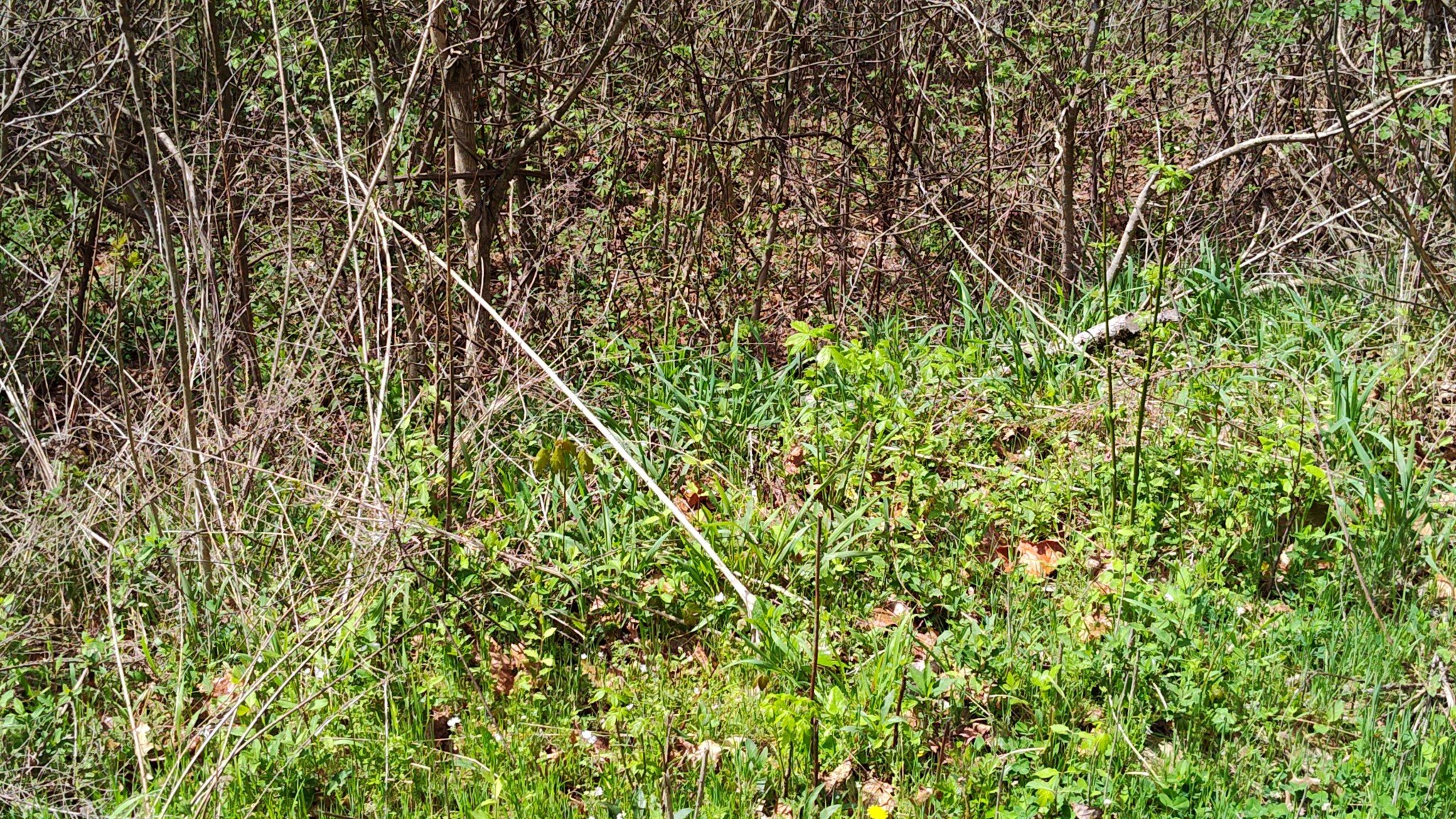 25 Harbor Pointe Lane, Silver Point, TN  38582