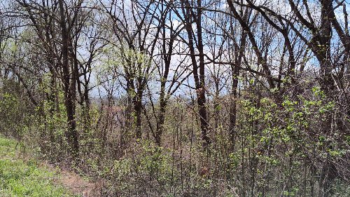 25 Harbor Pointe Lane, Silver Point, TN  38582