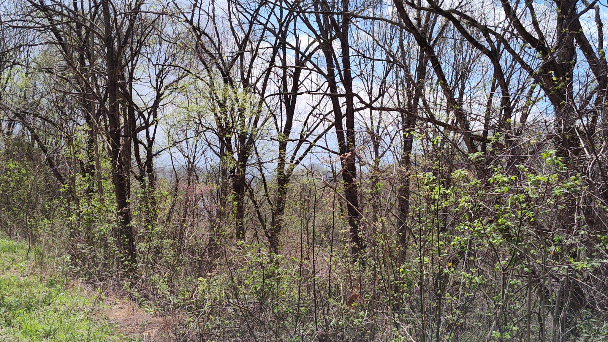 25 Harbor Pointe Lane, Silver Point, TN  38582