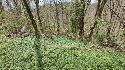 25 Harbor Pointe Lane, Silver Point, TN  38582