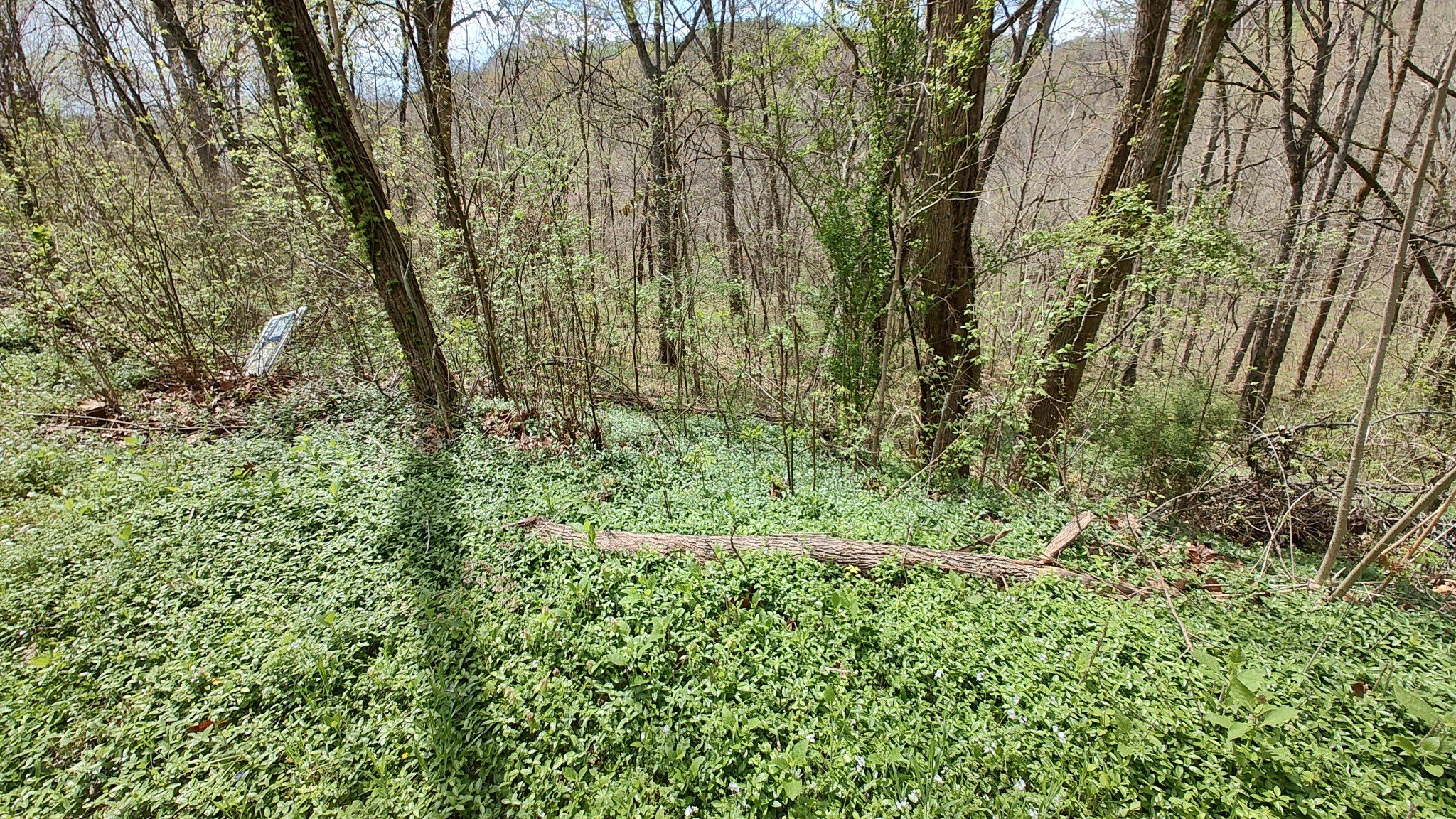 25 Harbor Pointe Lane, Silver Point, TN  38582