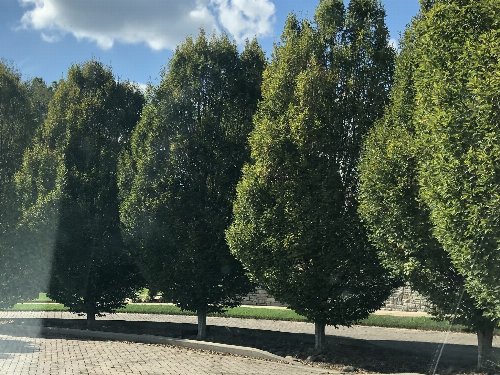 700 Halcyon Way, Columbia, TN  38401