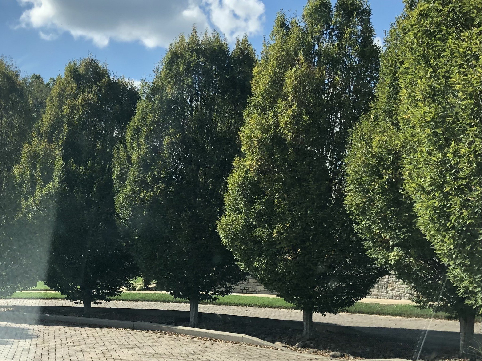 700 Halcyon Way, Columbia, TN  38401