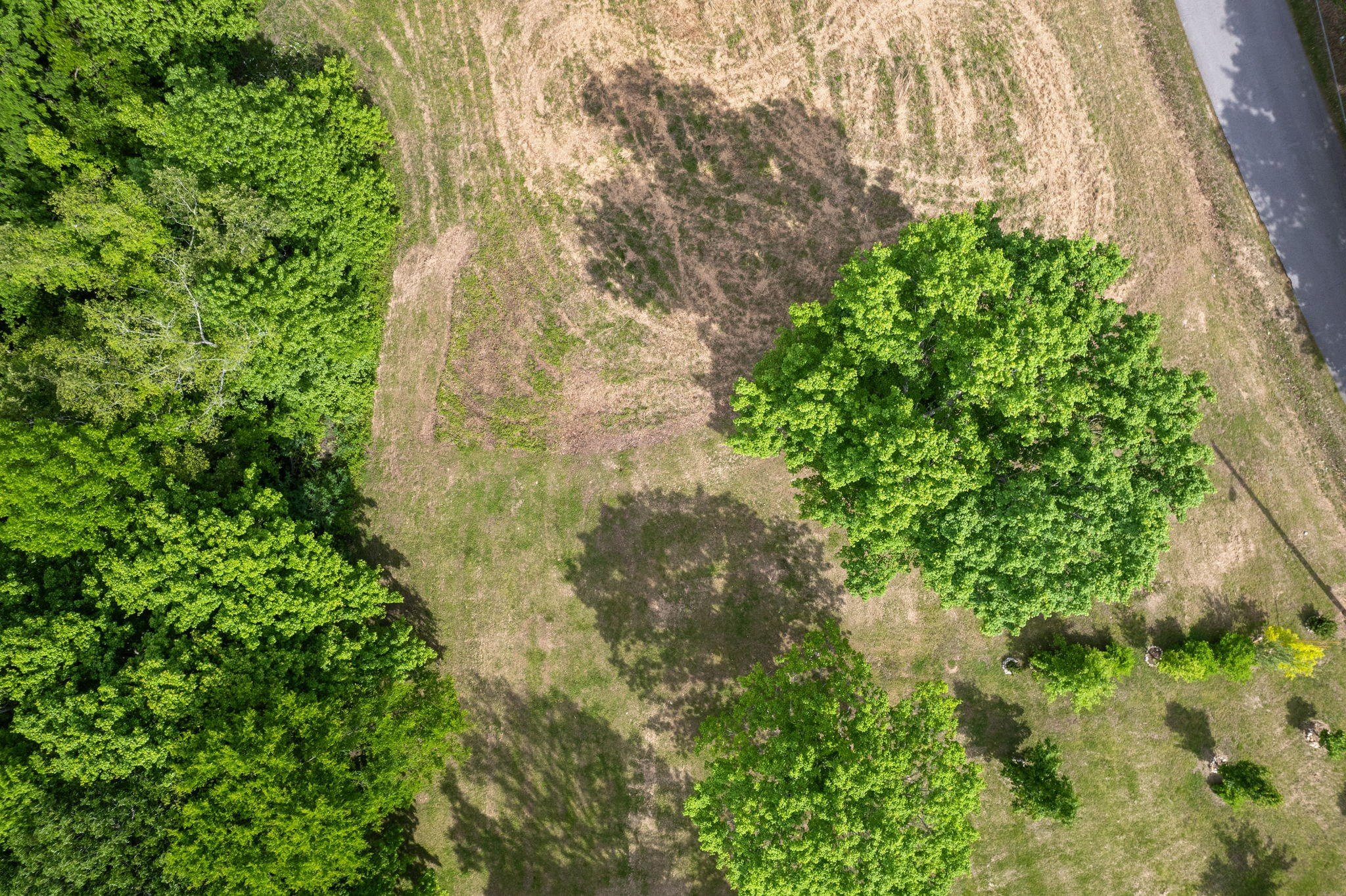 Highwater Rd, Waverly, TN  37185