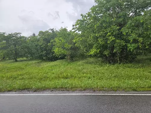 2385 Unionville Deason Rd, Bell Buckle, TN  37020