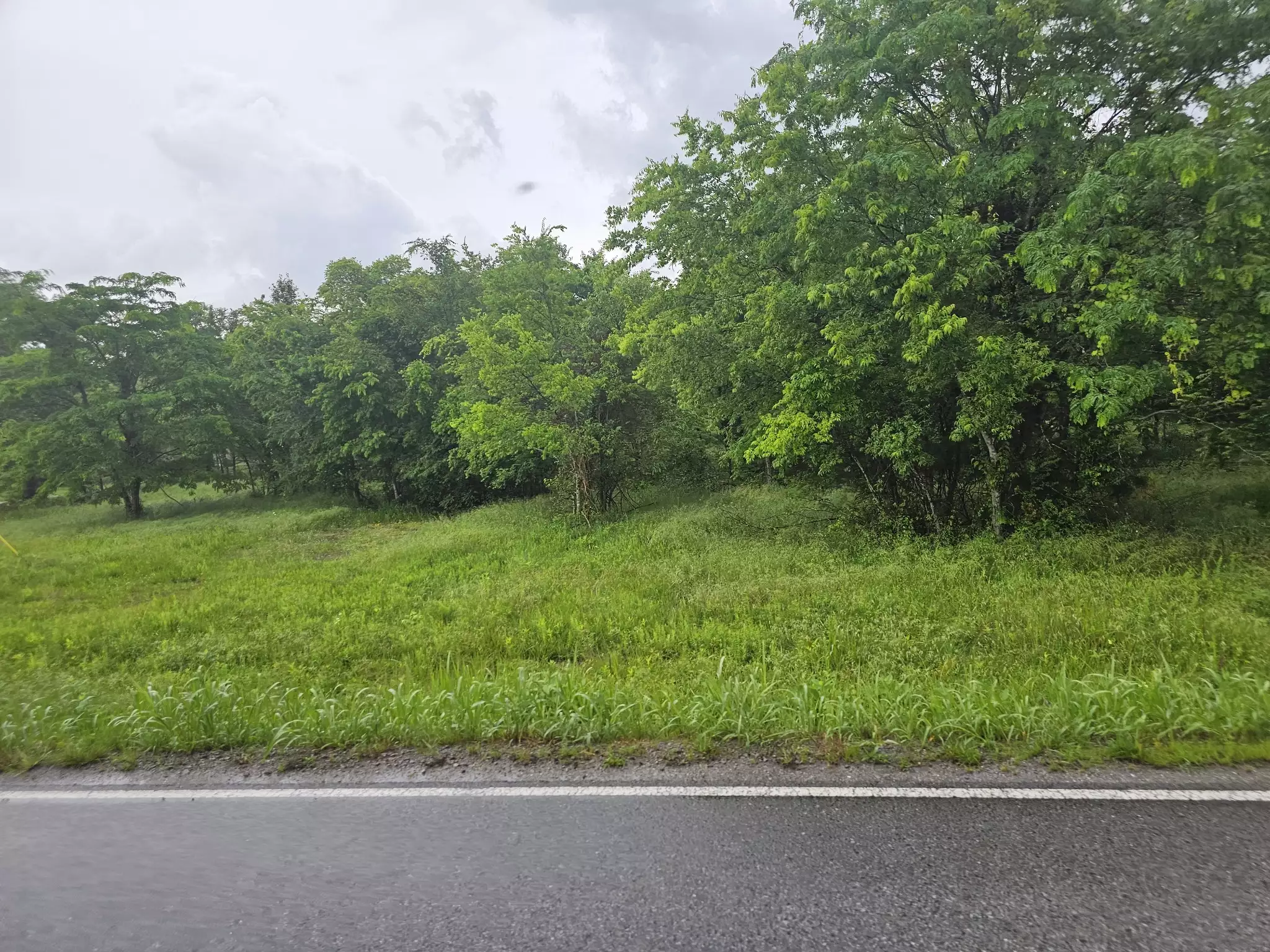 2385 Unionville Deason Rd, Bell Buckle, TN  37020