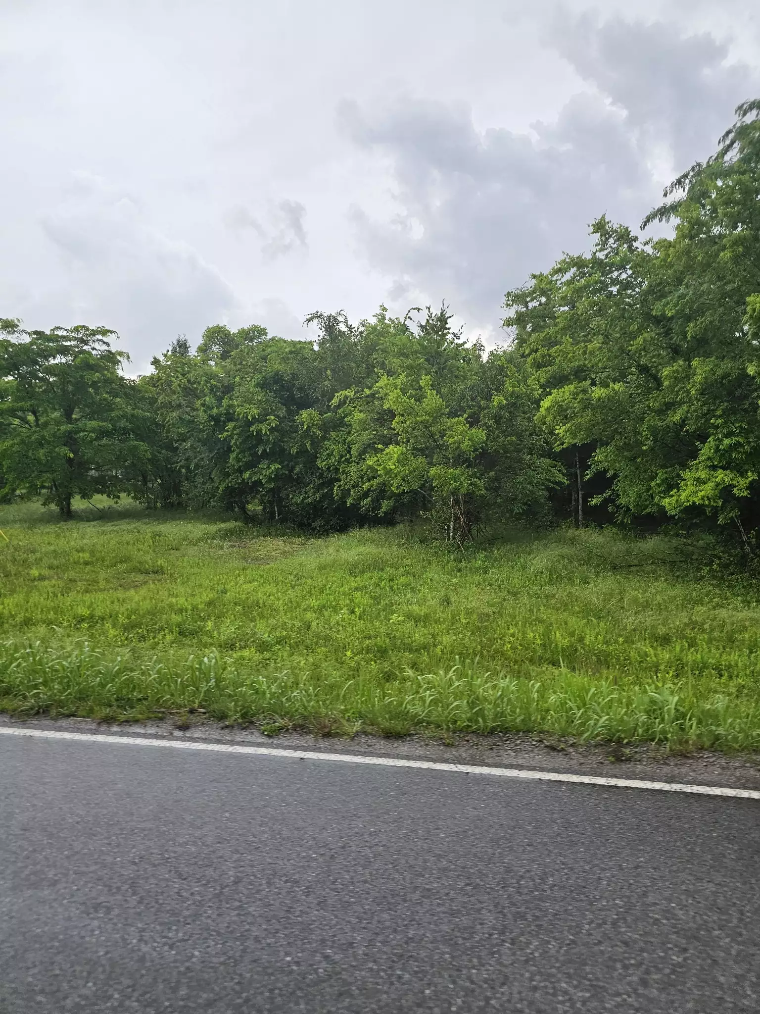 2385 Unionville Deason Rd, Bell Buckle, TN  37020