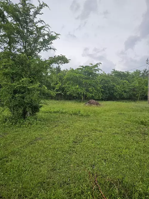 2385 Unionville Deason Rd, Bell Buckle, TN  37020