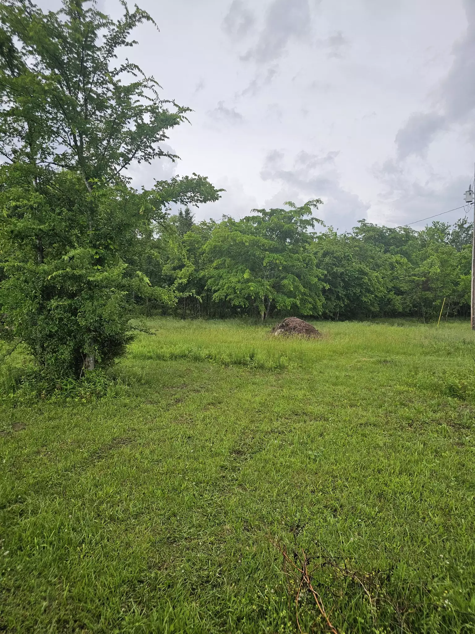 2385 Unionville Deason Rd, Bell Buckle, TN  37020