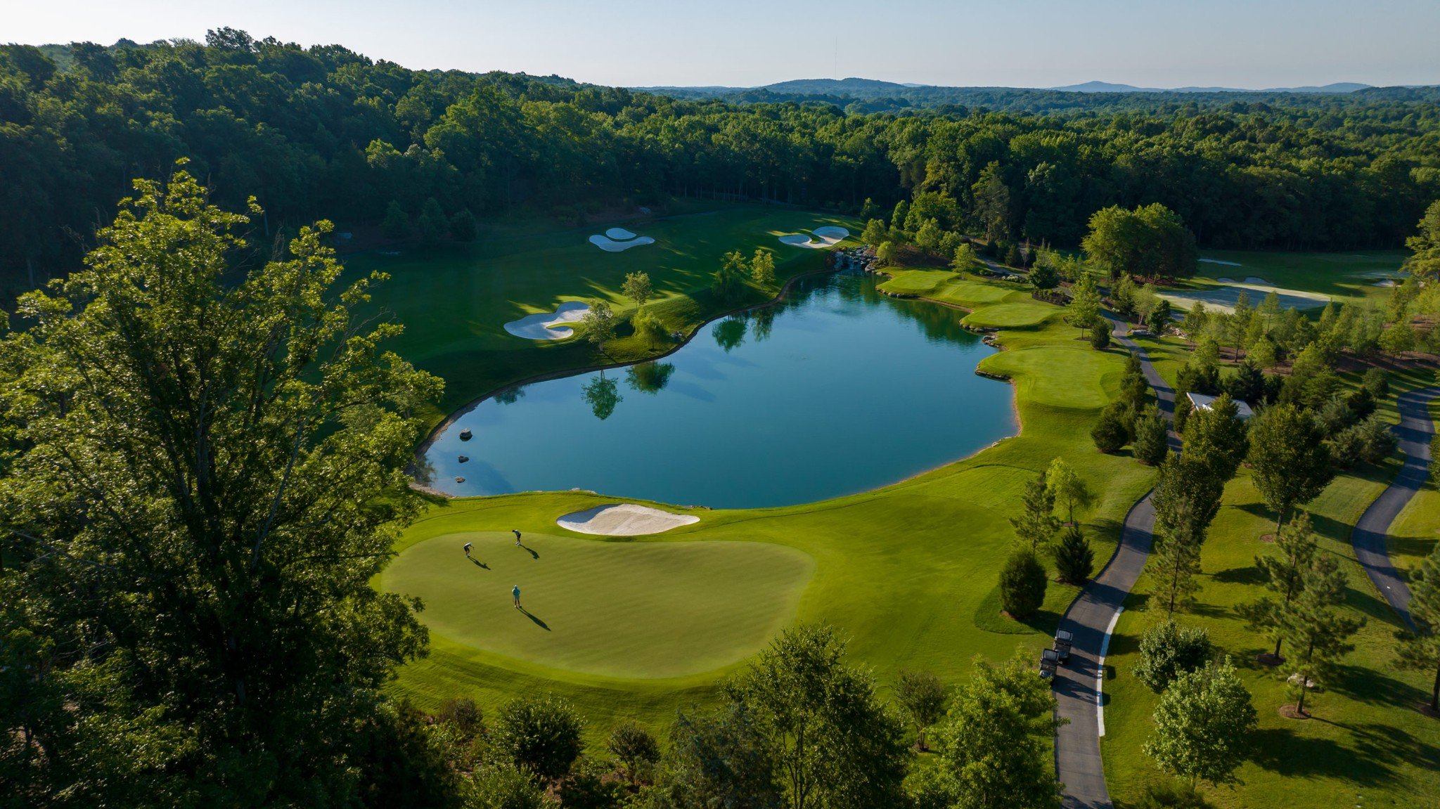 7373 Harlow Drive, College Grove, TN  37046