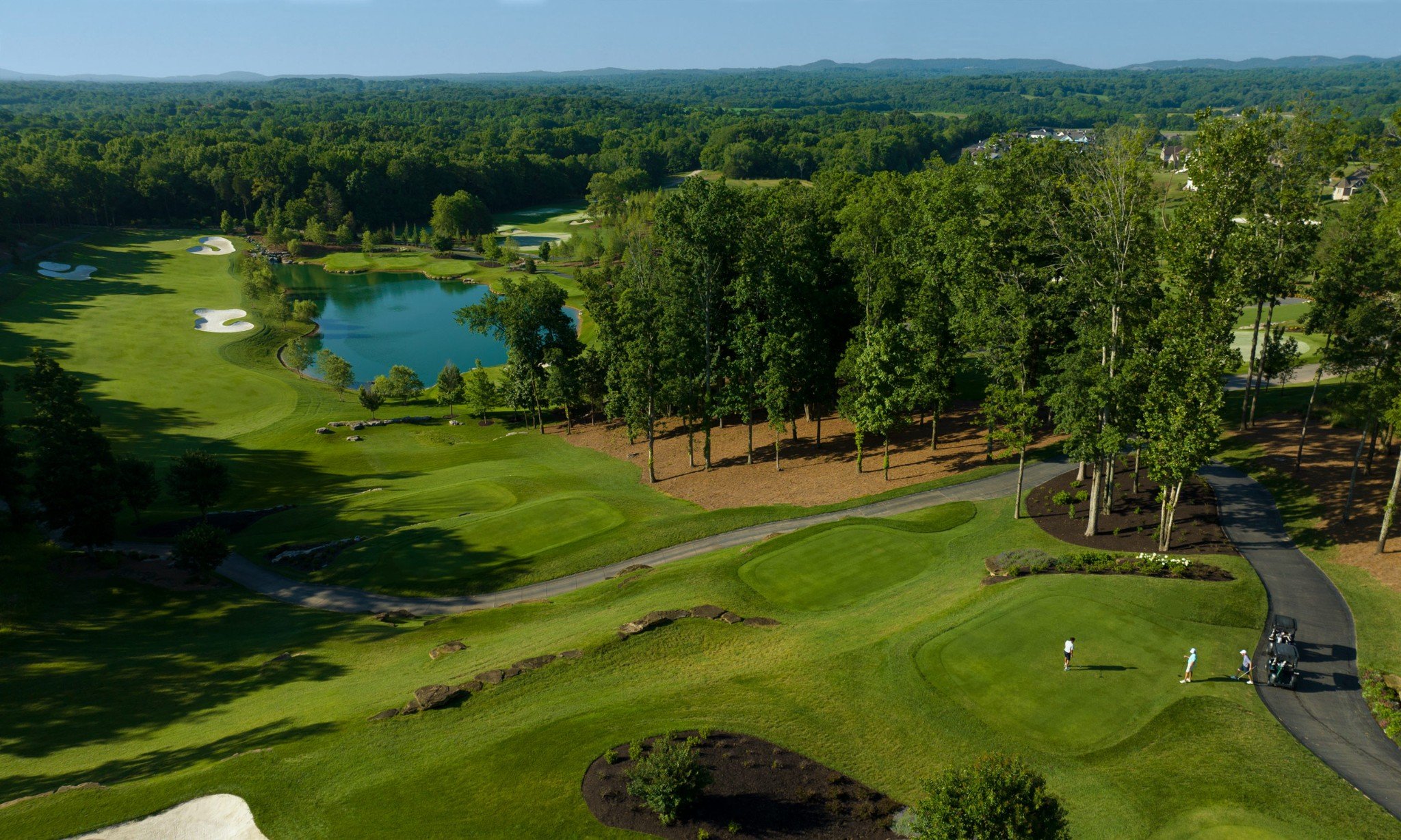 7373 Harlow Drive, College Grove, TN  37046