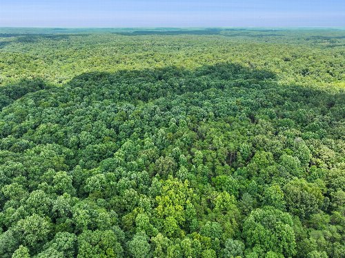 Drag Strip Rd, Fairview, TN  37062