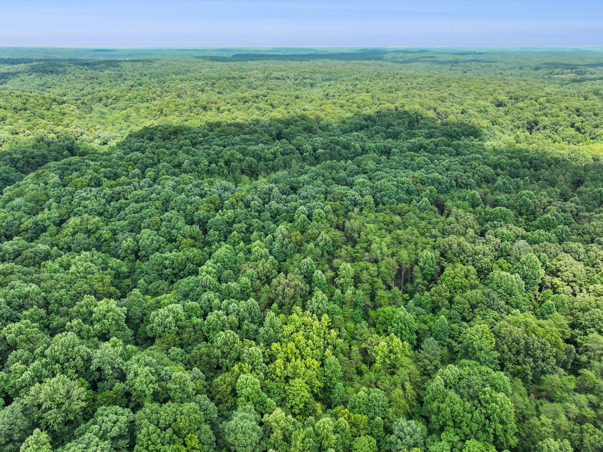 Drag Strip Rd, Fairview, TN  37062