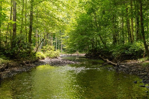 Steel Tram Ridge Ln, Crawford, TN  38554