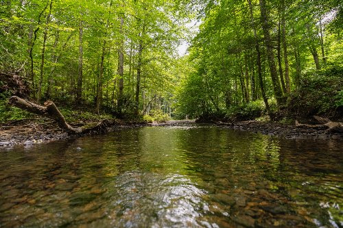 Steel Tram Ridge Ln, Crawford, TN  38554