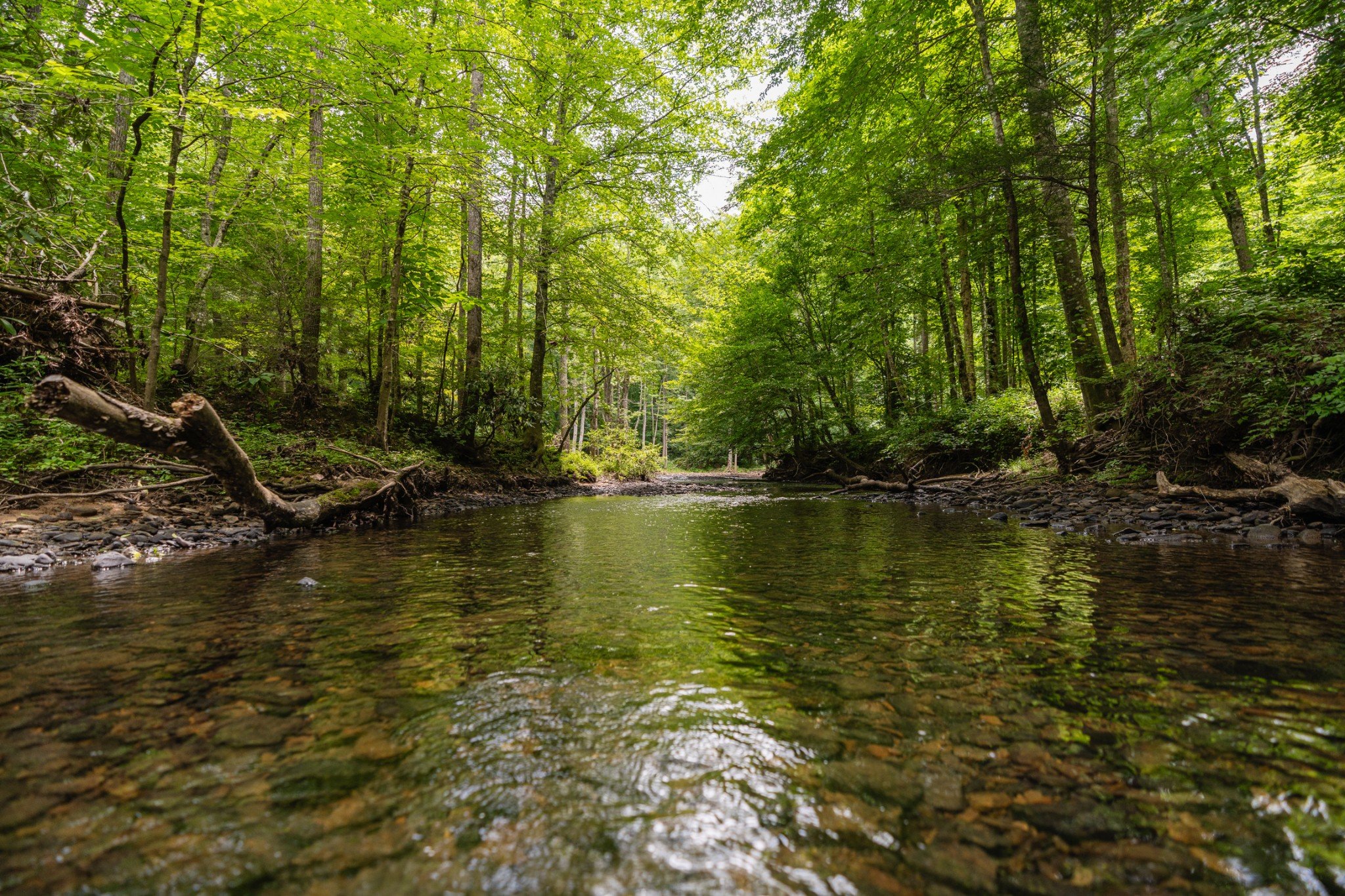 Steel Tram Ridge Ln, Crawford, TN  38554