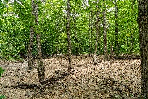 Steel Tram Ridge Ln, Crawford, TN  38554