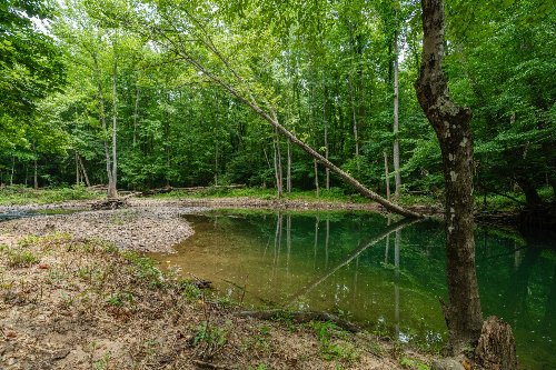 Steel Tram Ridge Ln, Crawford, TN  38554