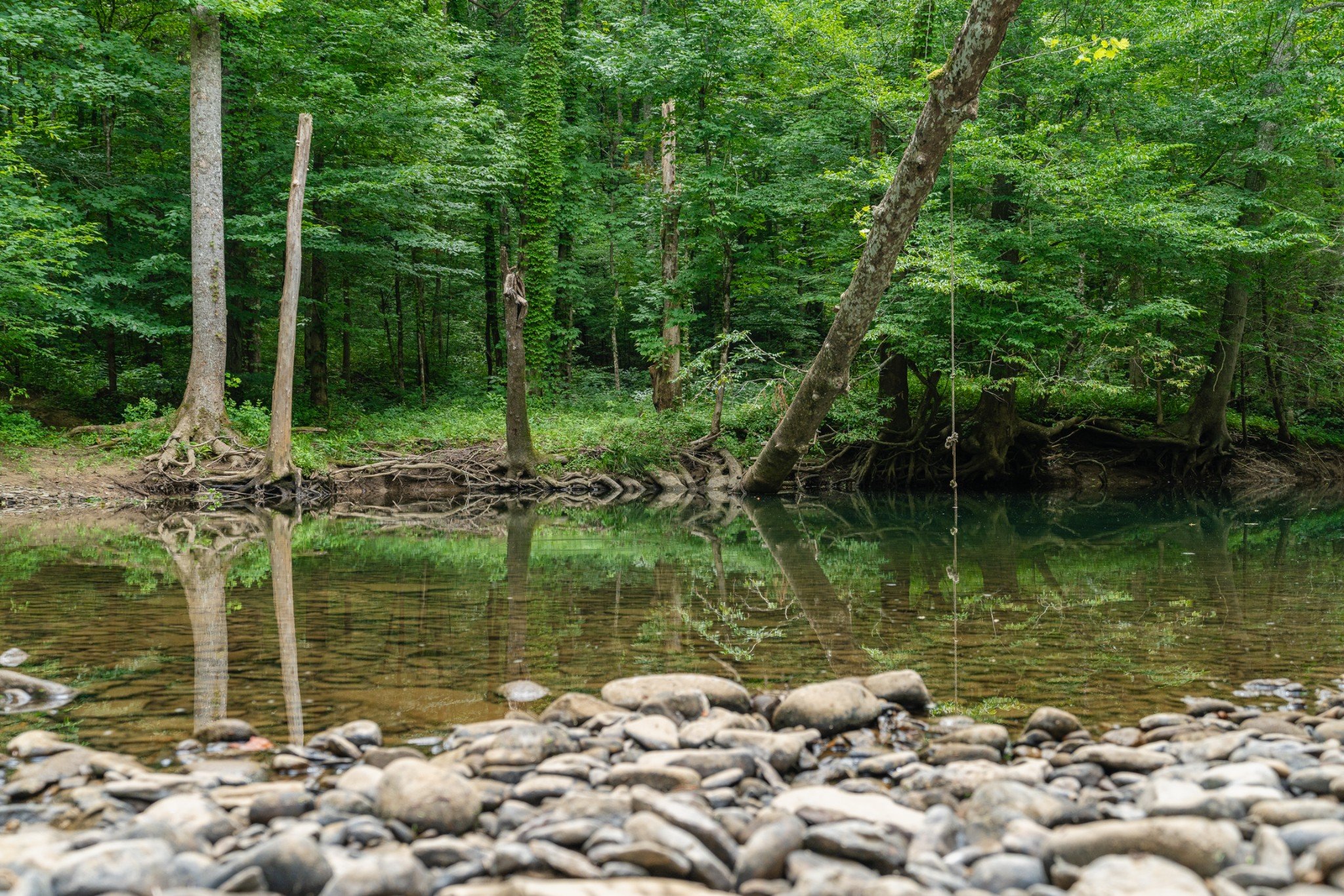 Steel Tram Ridge Ln, Crawford, TN  38554