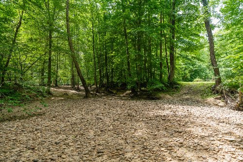 Steel Tram Ridge Ln, Crawford, TN  38554