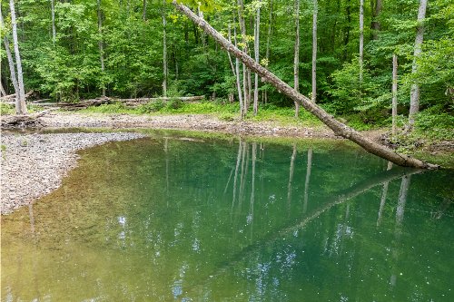 Steel Tram Ridge Ln, Crawford, TN  38554