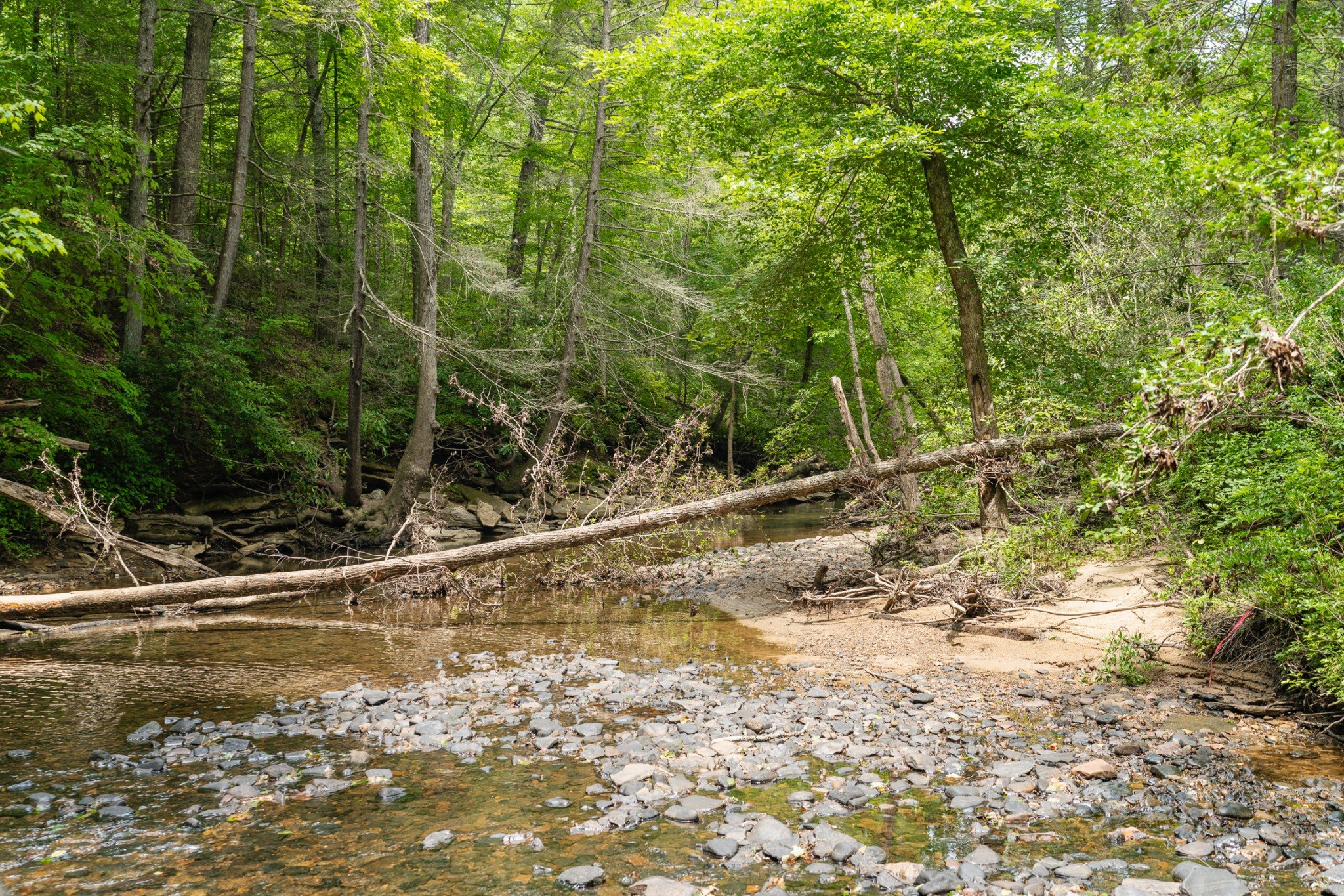 Steel Tram Ridge Ln, Crawford, TN  38554