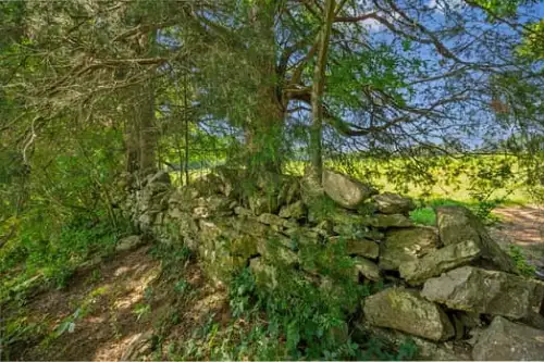 312 Moulder Rd, Shelbyville, TN  37160