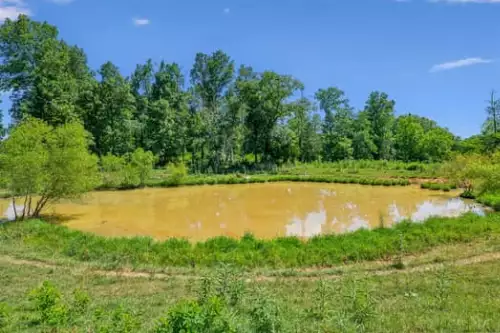 312 Moulder Rd, Shelbyville, TN  37160