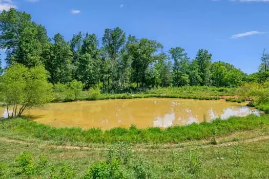 312 Moulder Rd, Shelbyville, TN  37160