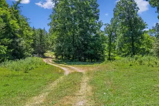 312 Moulder Rd, Shelbyville, TN  37160