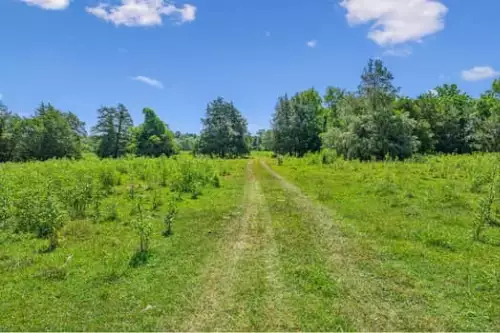 312 Moulder Rd, Shelbyville, TN  37160