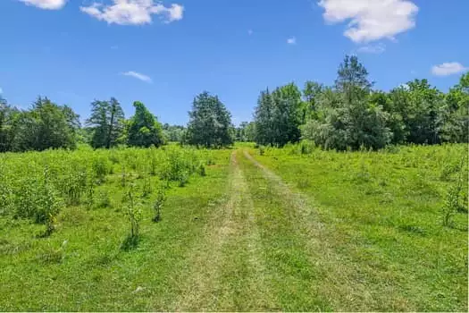 312 Moulder Rd, Shelbyville, TN  37160