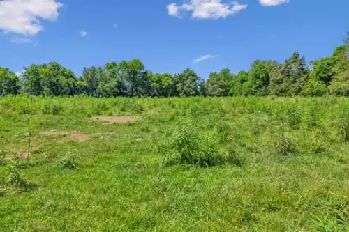 312 Moulder Rd, Shelbyville, TN  37160