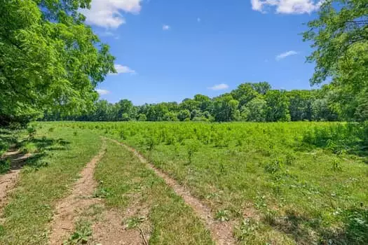 312 Moulder Rd, Shelbyville, TN  37160