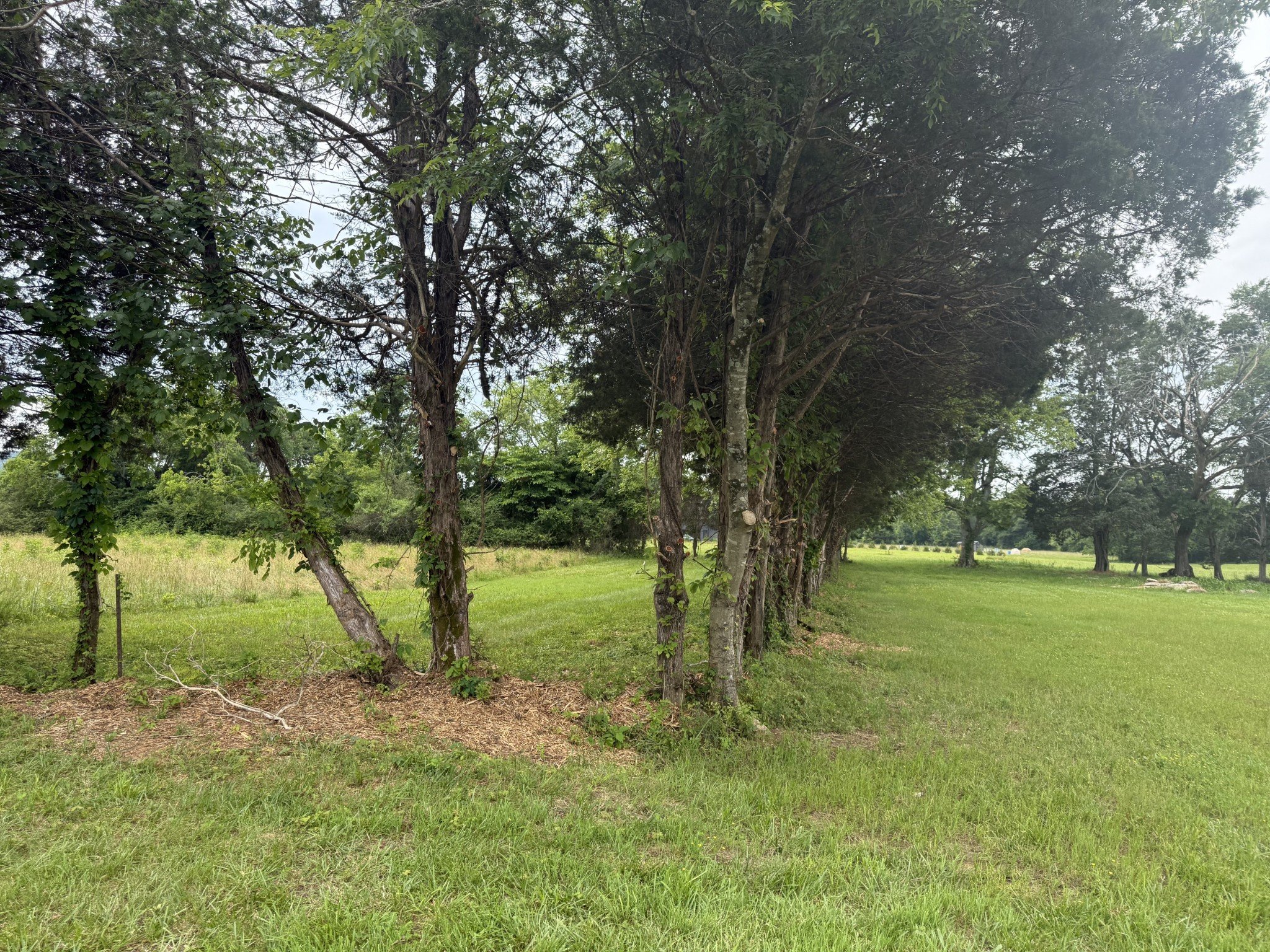 2120 Hamilton Chambers Rd, Lebanon, TN  37087